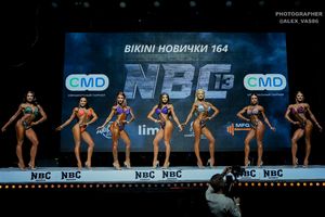 BIKINI НОВИЧКИ 164
